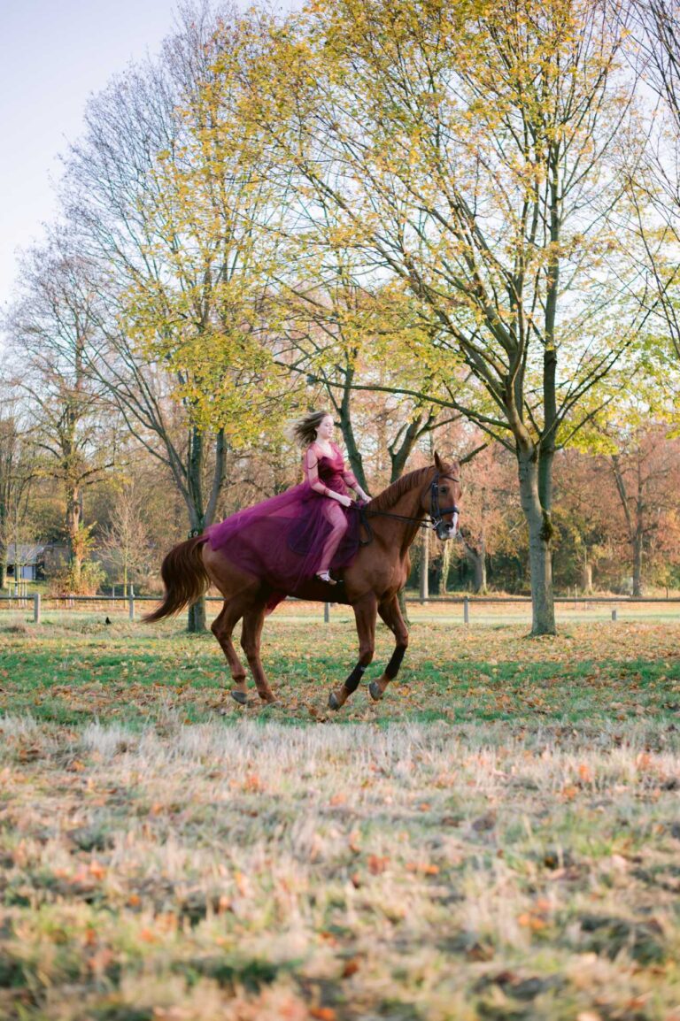 Photo shoot with a horse bride in a Grazia dress
